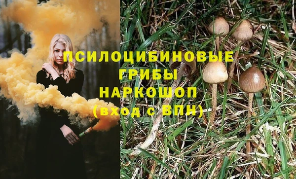трава Армянск